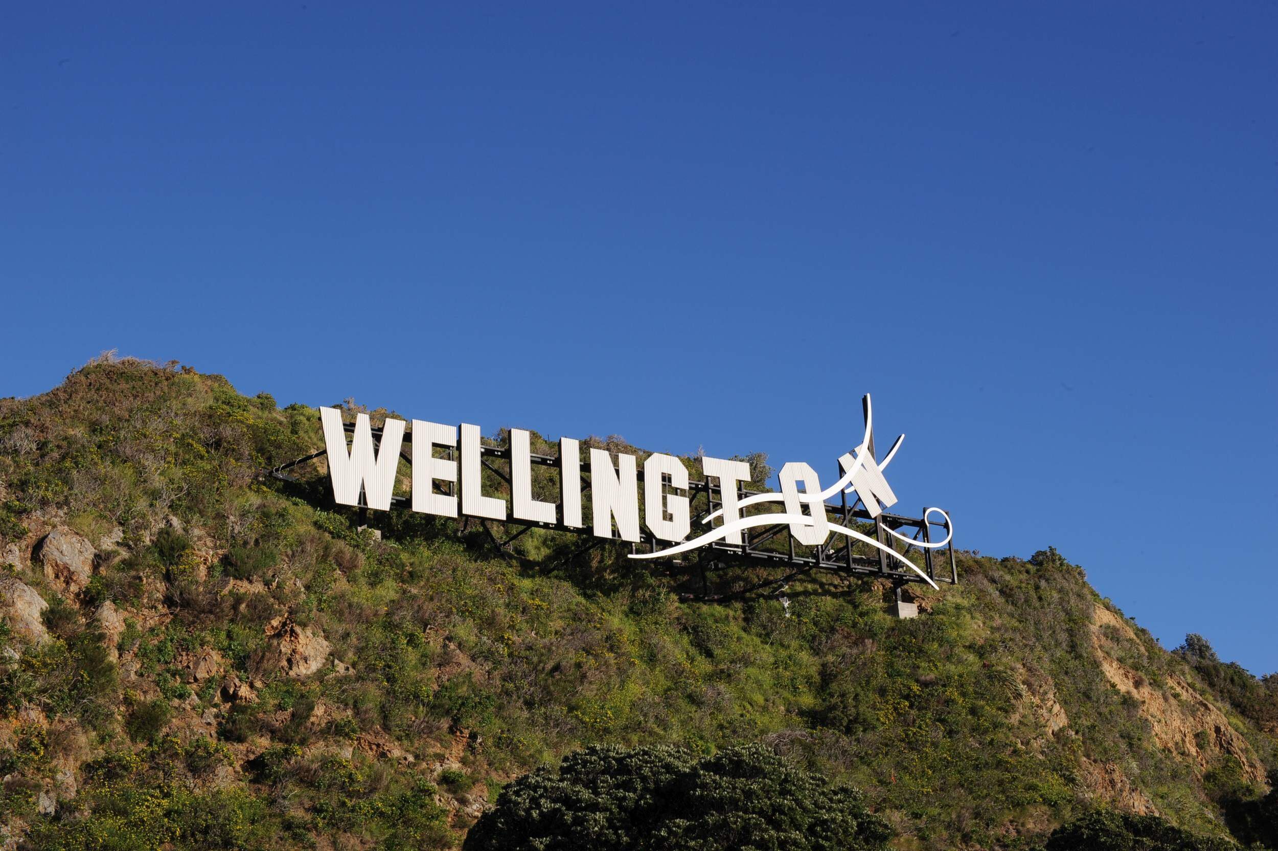 A Warm Home in Windy Wellington: The Double Glazing Advantage